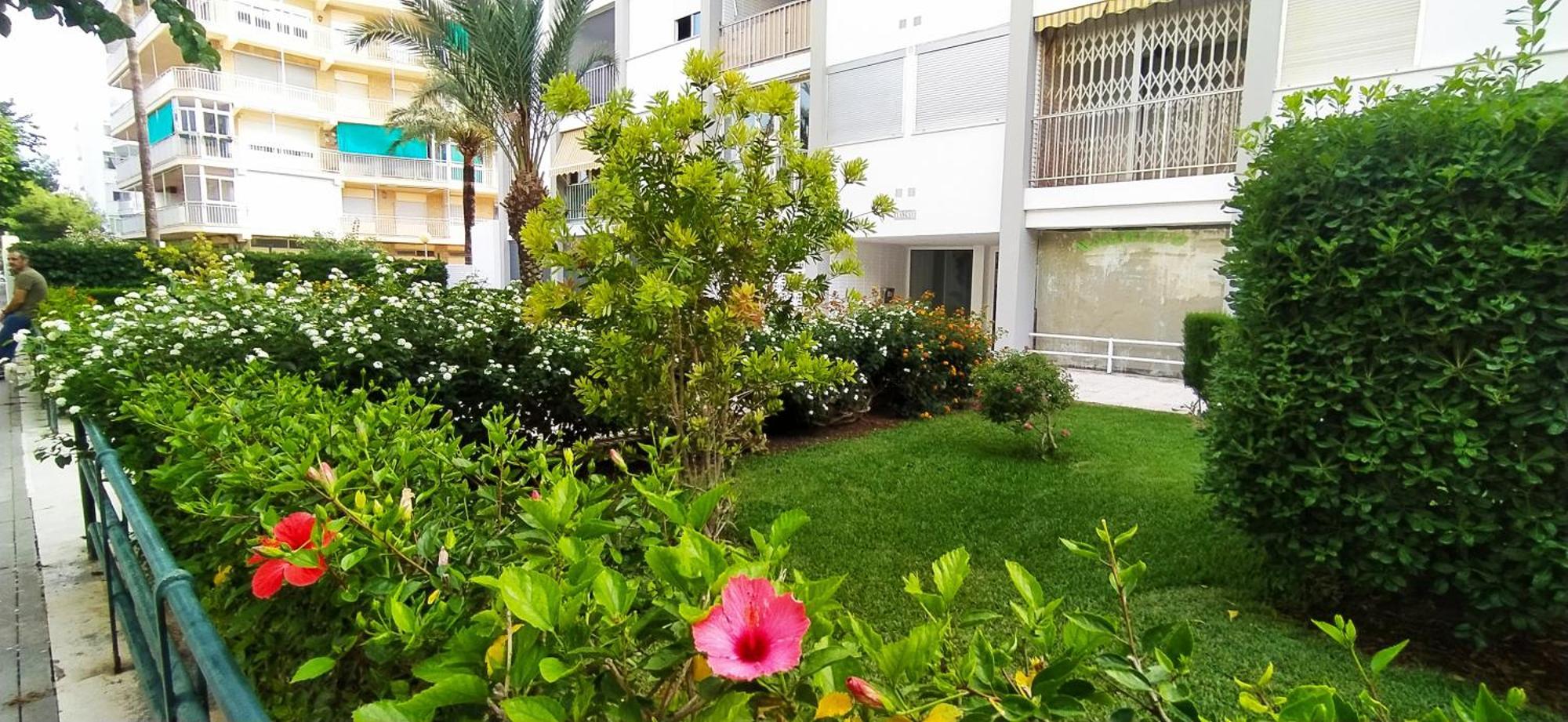 Ola Marina Solo Familias Apartment Playa de Gandia Exterior foto